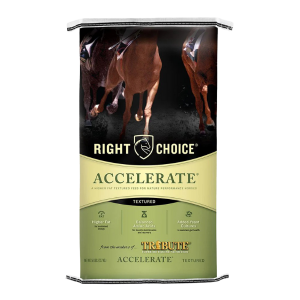 Right Choice Accelerate Textured