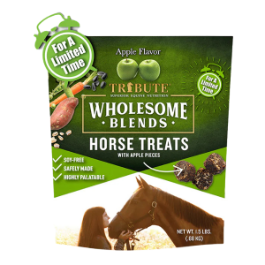 Kalmbach Apple Wholesome Blends® Horse Treats