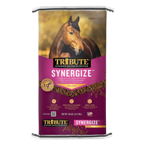 Tribute Synergize Pelleted Horse Feed