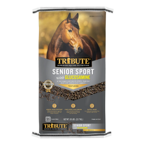 Tribute Senior Sport with Glucosamine