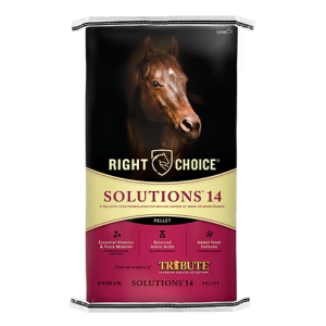 Right Choice Solutions 14 Pellet