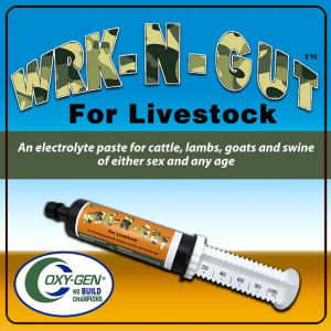 Wrk-N-Gut for Livestock™ is an Electrolyte Paste for Cattle, Lambs, Goats, and Swine