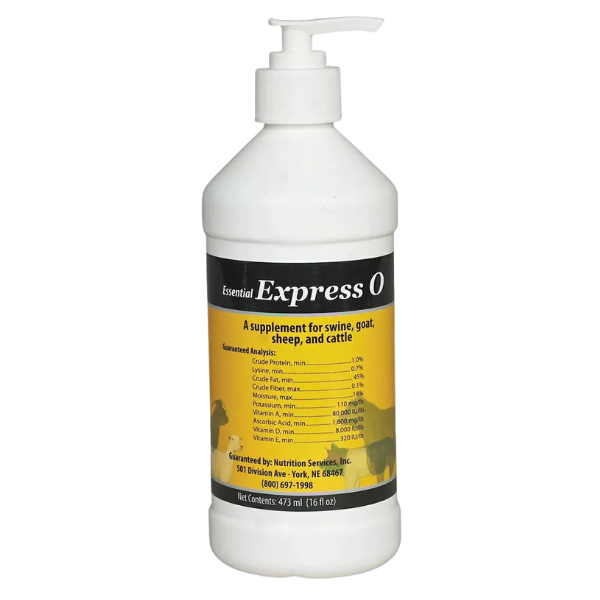 Essential Express O - 16 oz.. A concentrated muscle builder for for cattle, swine, sheep and goats.