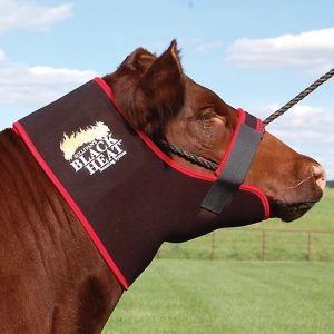 Sulllivan's Black Heat Neck Sweat