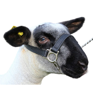 First Class Halter – Lamb And Goat