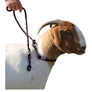 Goat Neck Tie