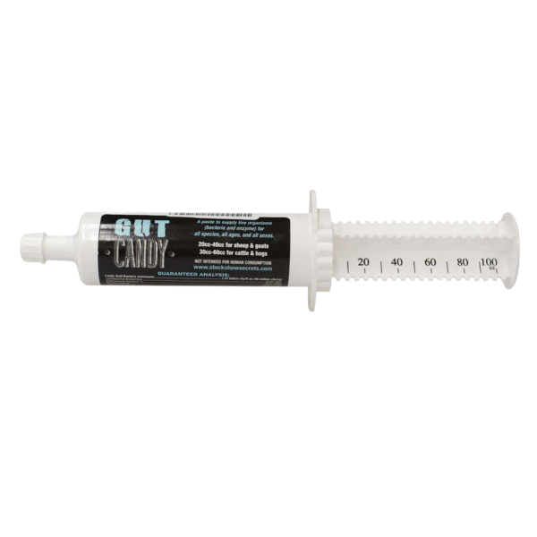 Gut Candy Paste