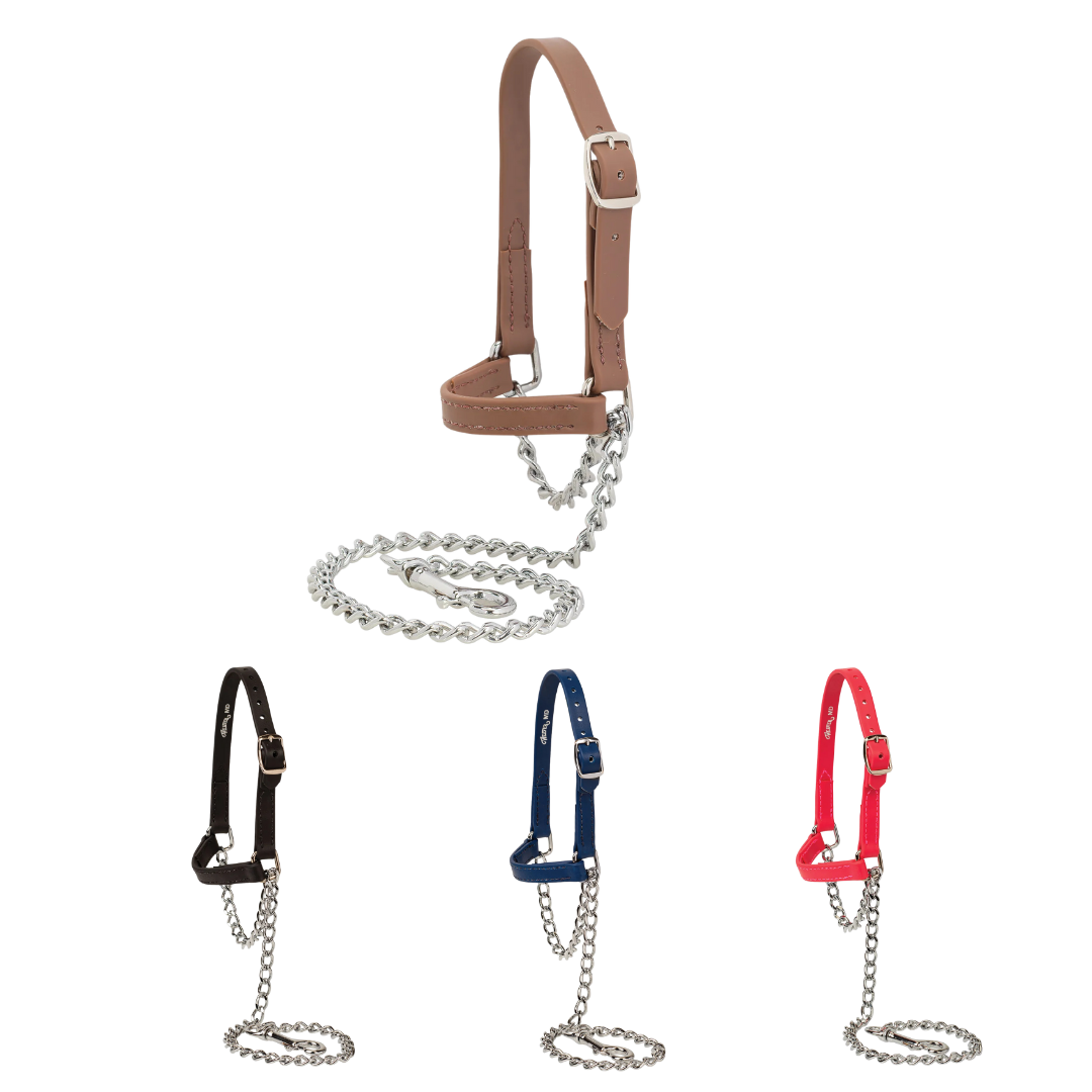 Weaver Sheep and Goat Brahma Webb® Halters. Color options
