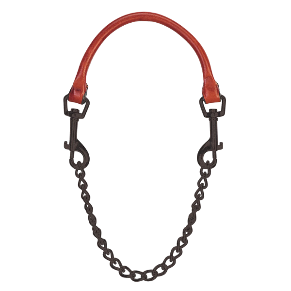 Leather and Chain Goat Collar, Regular