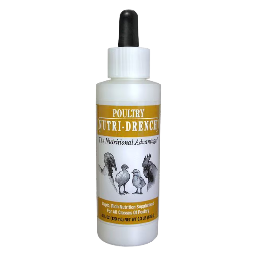 Bovidr Laboratories Nutri-Drench Poultry Supplement, 4-fl oz bottle