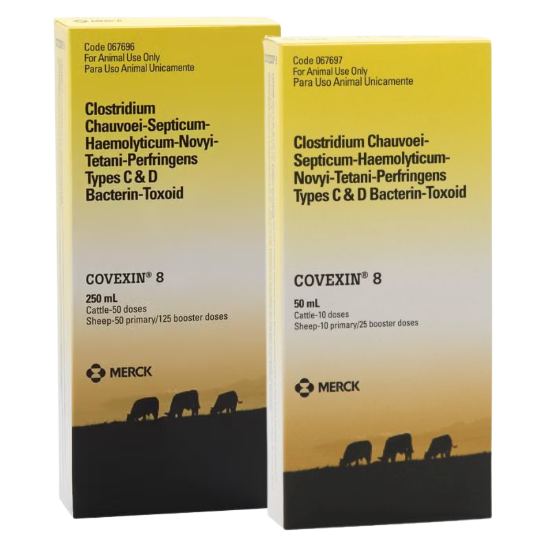 Covexin-8 for Cattle and Sheep