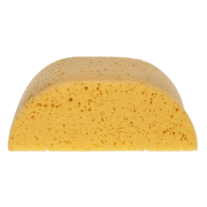 Hadera Humpback Sponge - xl