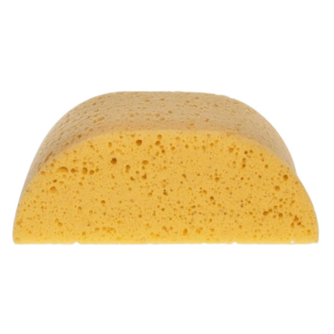 Hadera Humpback Sponge - xl