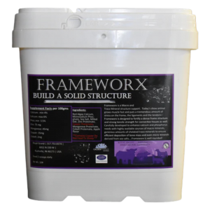Royal Grand FrameWorx