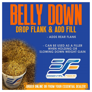 Essential Feeds Belly Down 50-lb