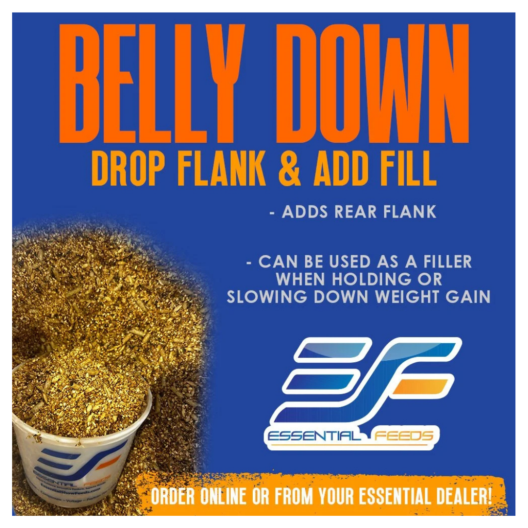 Essential Feeds Belly Down 50-lb