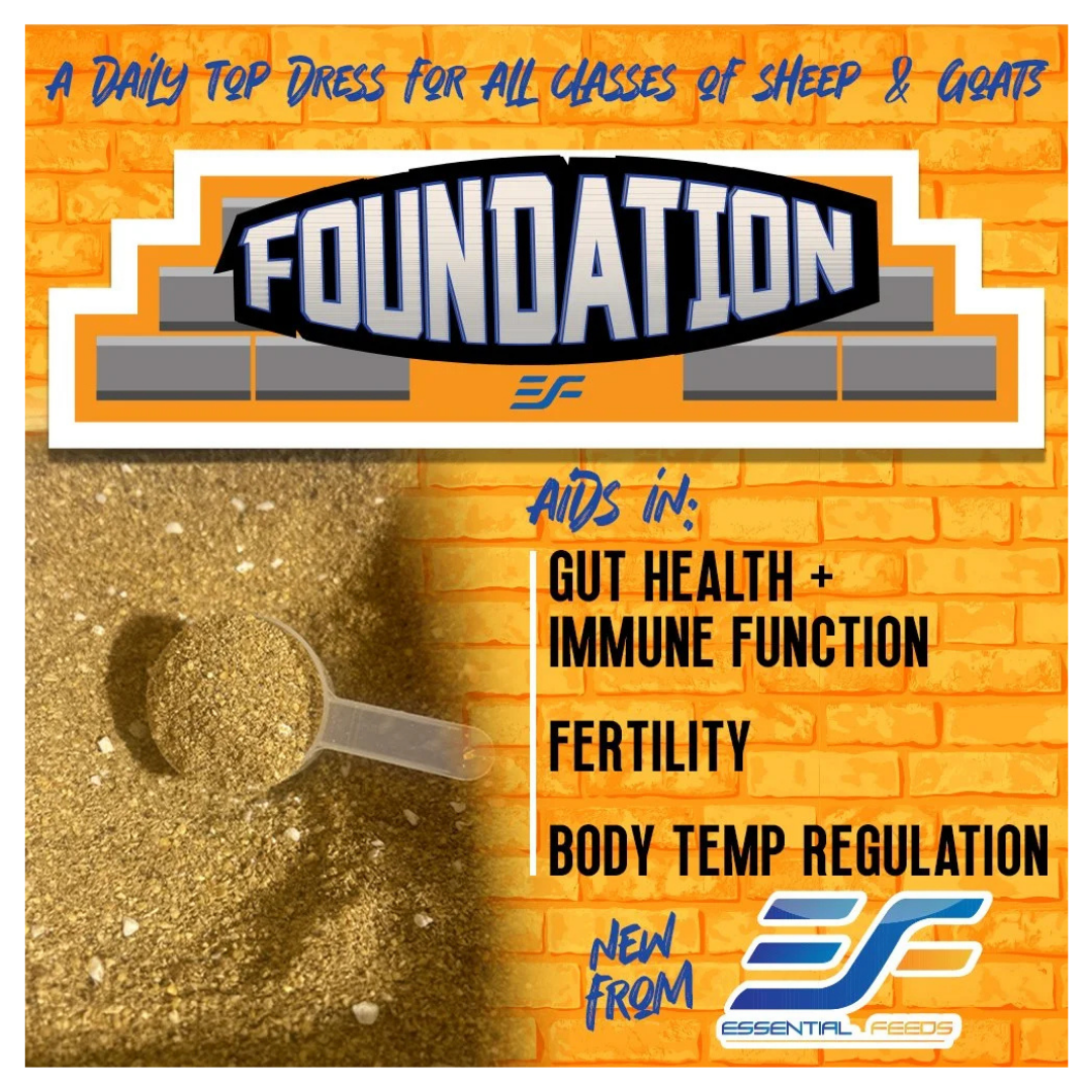 Essential Feeds Foundation