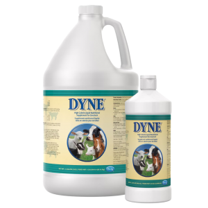 PetAg Dyne High Calorie Liquid Livestock Supplement