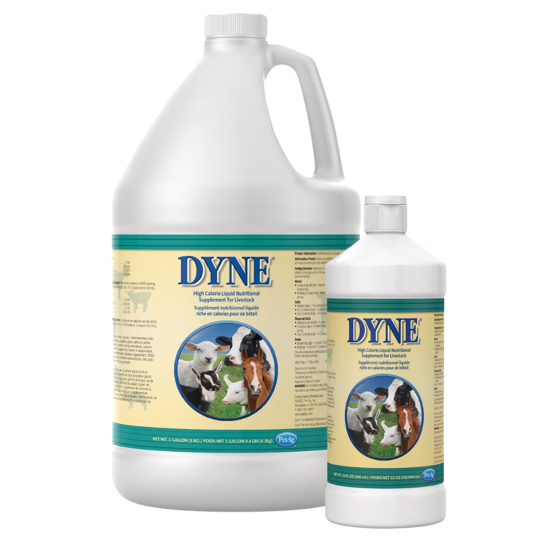 PetAg Dyne High Calorie Liquid Livestock Supplement