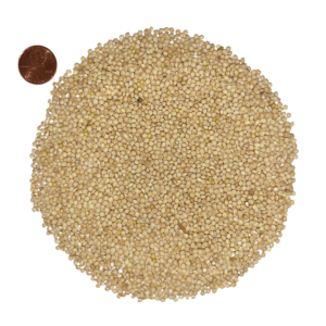 Jones White Proso Millet